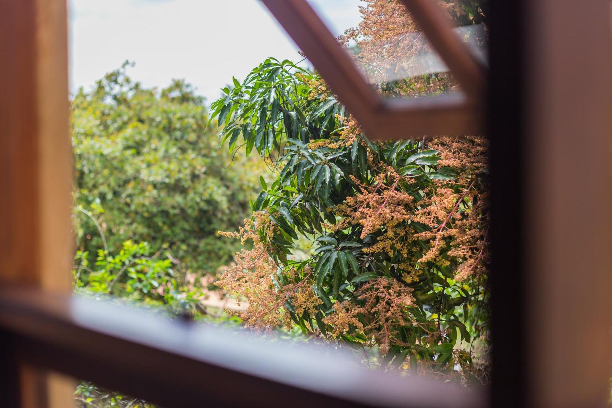 Terra Dos Diamantes Hotel Lencois Dış mekan fotoğraf